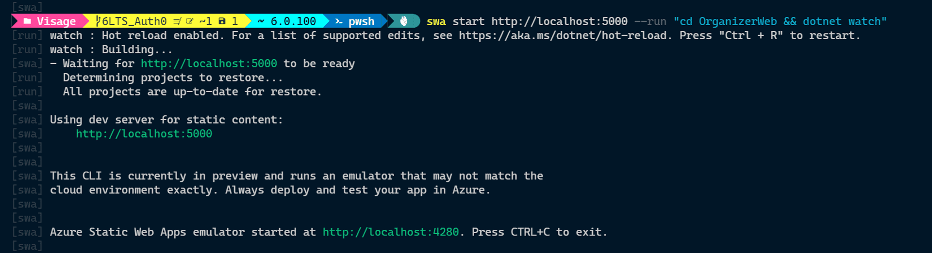 Azure SWA CLI terminal logs